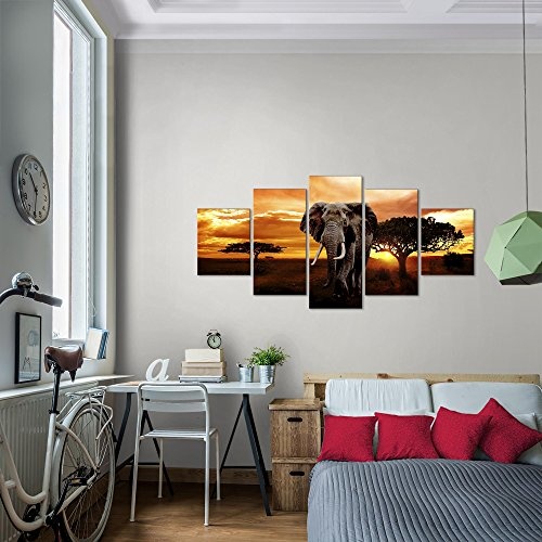 Bilder Afrika Elefant Wandbild 200 x 100 cm Vlies - Leinwand Bild XXL Format Wandbilder Wohnzimmer Wohnung Deko Kunstdrucke Orang 5 Teilig - Made IN Germany - Fertig zum Aufhängen 001251a