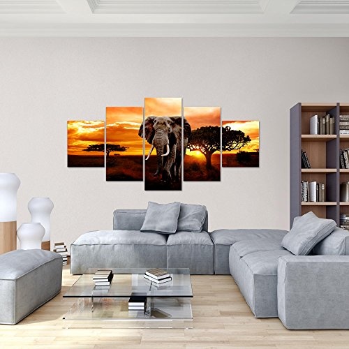 Bilder Afrika Elefant Wandbild 200 x 100 cm Vlies - Leinwand Bild XXL Format Wandbilder Wohnzimmer Wohnung Deko Kunstdrucke Orang 5 Teilig - Made IN Germany - Fertig zum Aufhängen 001251a
