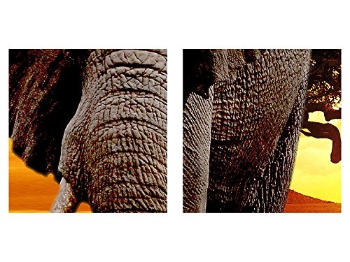 Bilder Afrika Elefant Wandbild 200 x 100 cm Vlies - Leinwand Bild XXL Format Wandbilder Wohnzimmer Wohnung Deko Kunstdrucke Orang 5 Teilig - Made IN Germany - Fertig zum Aufhängen 001251a