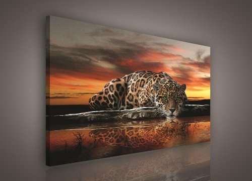 FORWALL Leinwandbild Kunstdruck Wandbild Dekoshop Jaguar und Sonnenuntergang ADPP101 O1 (100cm x 75cm) Canvas Picture Print