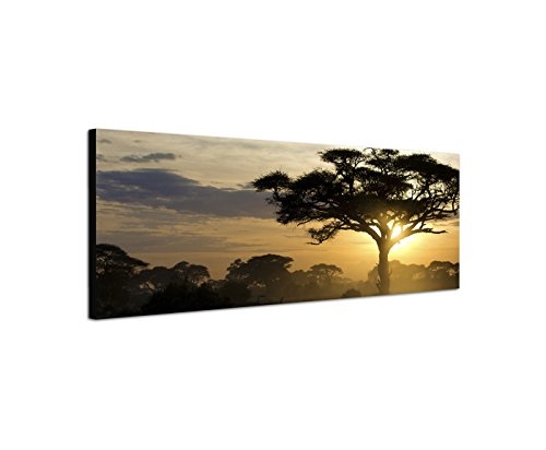 Paul Sinus Art Panoramabild auf Leinwand und Keilrahmen 150x50cm Afrika Landschaft Bäume Sonnenuntergang