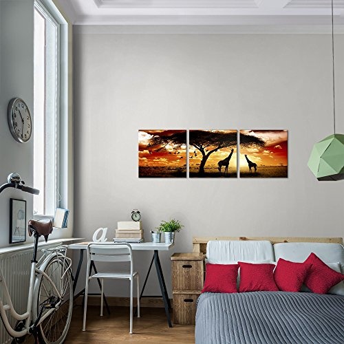 Wandbild Afrika Sonnenuntergang Bilder 120 x 40 cm Vlies - Leinwand Bild XXL Format Wandbilder Wohnzimmer Wohnung Deko Kunstdrucke Orang 3 Teile - MADE IN GERMANY - Fertig zum Aufhängen 001533b