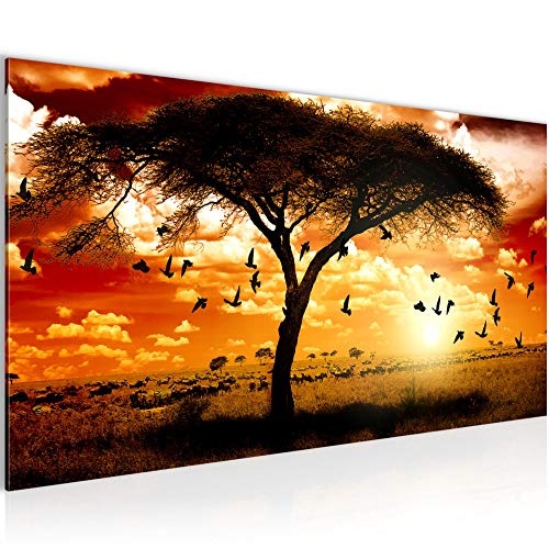 Runa Art Bilder Afrika Sonnenuntergang Wandbild Vlies -...