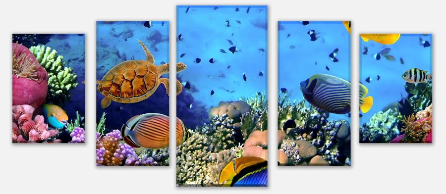 Leinwandbild Korallenriff mit Fischen