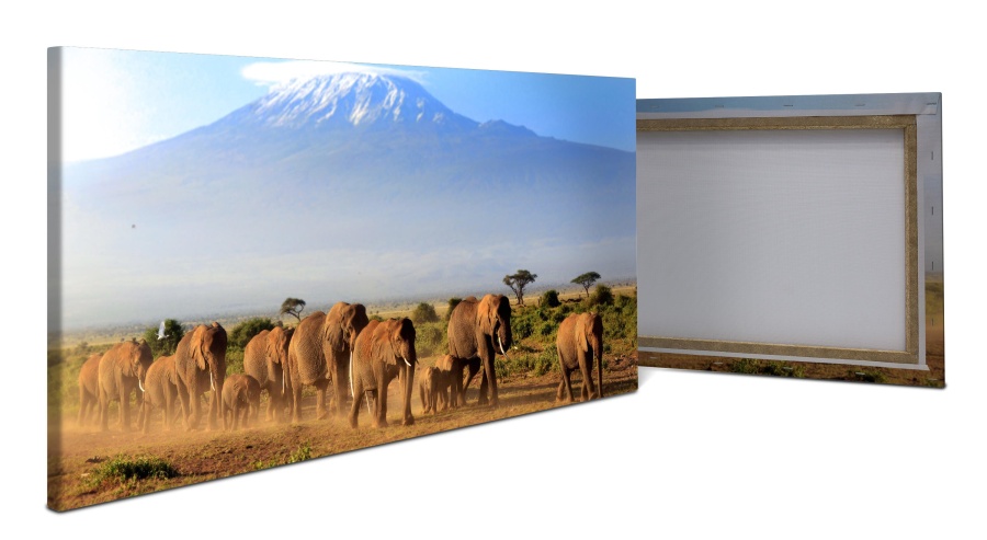 Leinwandbild Elefantenherde am Kilimandscharo