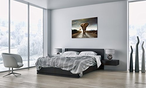 Bild auf Leinwand - Leinwandbilder - Einteilig - Breite: 100cm, Höhe: 70cm - Bildnummer 0214 - zum Aufhängen bereit - Bilder - Kunstdruck - AA100x70-0214