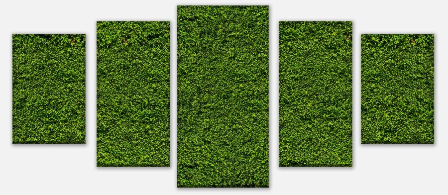Leinwandbild Grüne Mauer