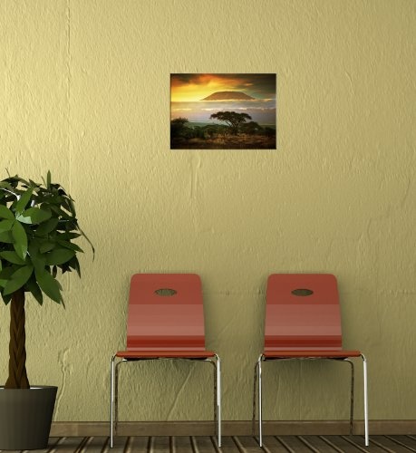 Wandbild - Kilimandscharo mit Savanne in Kenya - Afrika - Bild auf Leinwand - 50x40 cm - Leinwandbilder - Landschaften - Tansania - Nationalpark - Sonnenuntergang