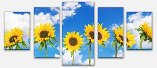 Leinwandbild Sonnenblumen