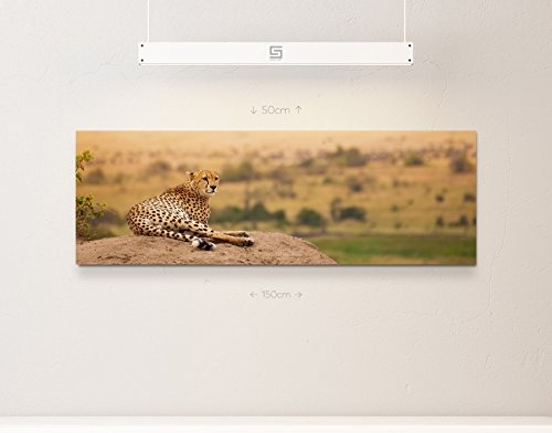 Paul Sinus Art Leinwandbilder | Bilder Leinwand 150x50cm Gepard in Afrika