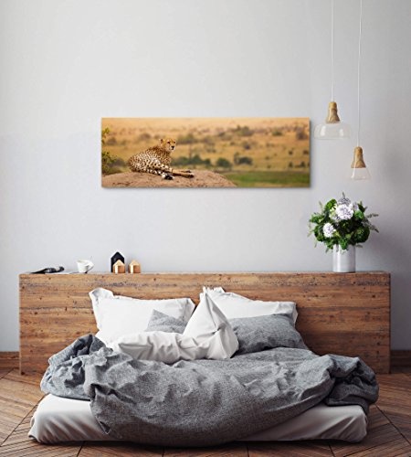 Paul Sinus Art Leinwandbilder | Bilder Leinwand 150x50cm Gepard in Afrika