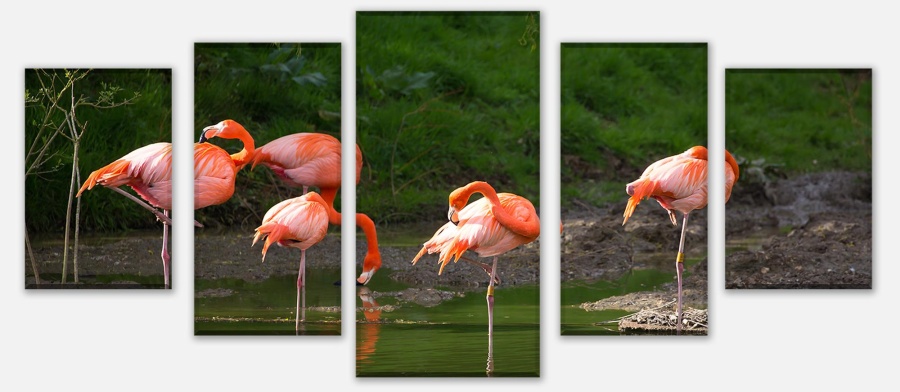 Leinwandbild Flamingos in einem Pool