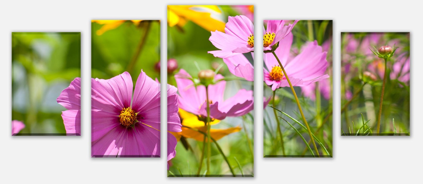 Leinwandbild Schöne Frühlingsblumen