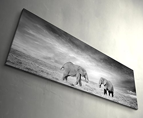 Paul Sinus Art Leinwandbilder | Bilder Leinwand 120x40cm Zwei Elefanten schwarzweiß