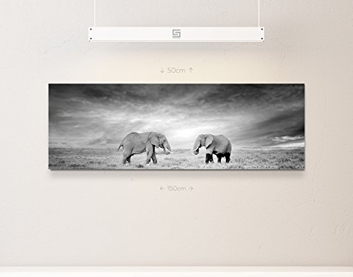 Paul Sinus Art Leinwandbilder | Bilder Leinwand 120x40cm Zwei Elefanten schwarzweiß