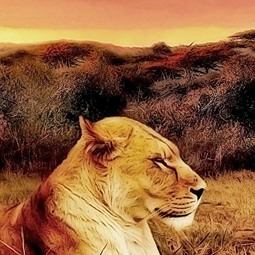 CanvasArts Afrika Löwen - Leinwand Bild auf Keilrahmen - Wandbild 02.501 (120 x 80 cm, einteilig)
