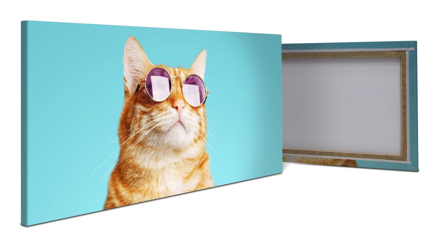 Leinwandbild gestreifte Katze, violette Sonnenbrille