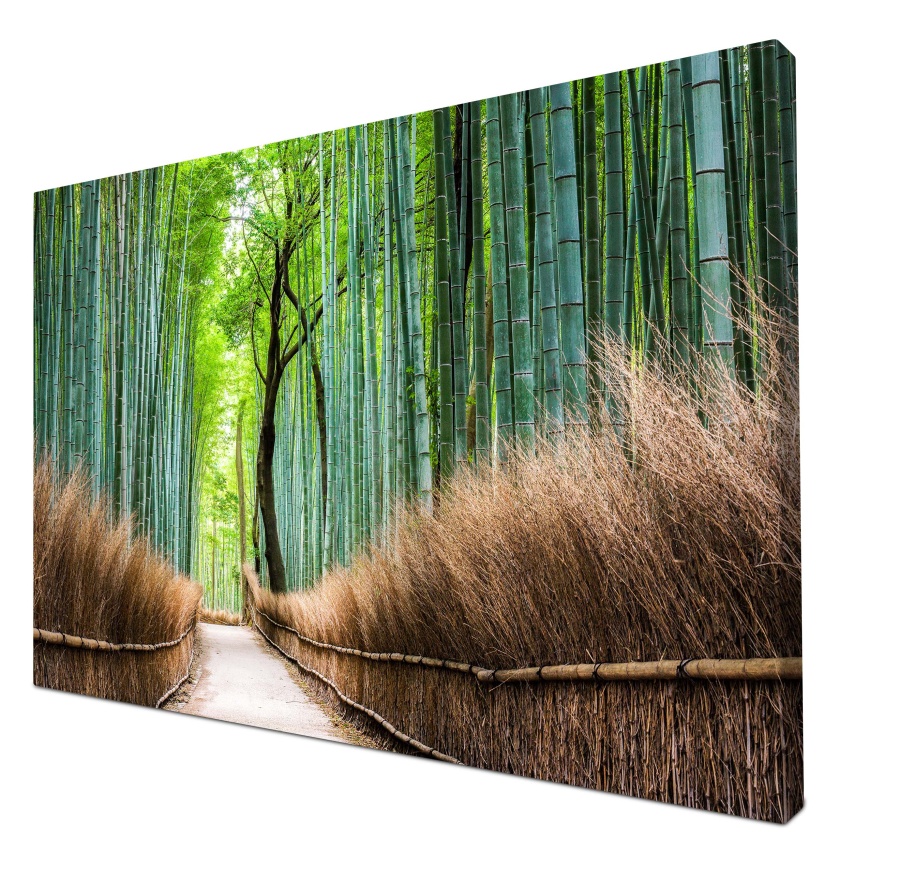 Leinwandbild Bambus Weg Wald Zaun
