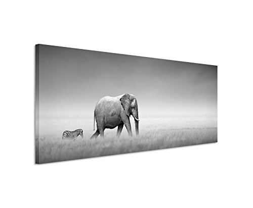 Panoramabild 150x50cm Tierfotografie - Elefant und Zebra auf Leinwand exklusives Wandbild moderne Fotografie für ihre Wand in vielen Größen