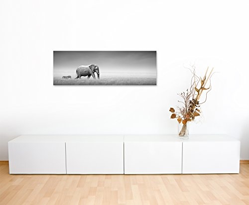 Panoramabild 150x50cm Tierfotografie - Elefant und Zebra auf Leinwand exklusives Wandbild moderne Fotografie für ihre Wand in vielen Größen