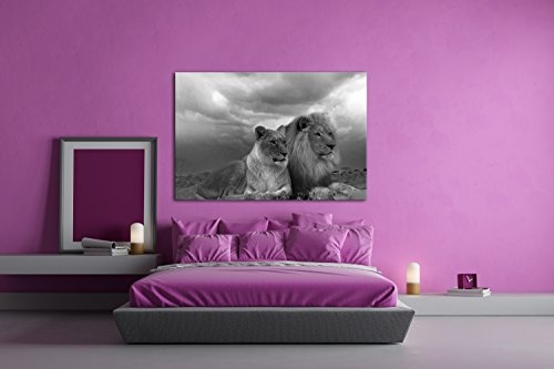 deyoli Löwen in Afrika Effekt: Schwarz/Weiß im Format: 120x80 als Leinwandbild, Motiv fertig gerahmt auf Echtholzrahmen, Hochwertiger Digitaldruck mit Rahmen, Kein Poster oder Plakat