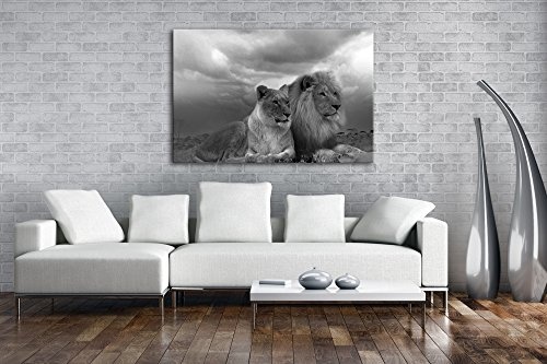 deyoli Löwen in Afrika Effekt: Schwarz/Weiß im Format: 120x80 als Leinwandbild, Motiv fertig gerahmt auf Echtholzrahmen, Hochwertiger Digitaldruck mit Rahmen, Kein Poster oder Plakat