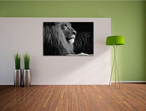 Dark wunderschöner stolzer Löwe schwarz/weiß Format: 120x80auf Leinwand, XXL riesige Bilder fertig gerahmt mit Keilrahmen, Kunstdruck auf Wandbild mit Rahmen, günstiger als Gemälde oder Ölbild, kein Poster oder Plakat