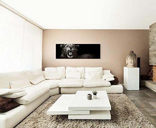 Wunderschönes Wandbild 150x50cm Tierbilder - Brüllender afrikanischer Löwe schwarz weiß