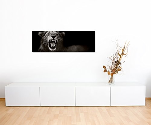Wunderschönes Wandbild 150x50cm Tierbilder - Brüllender afrikanischer Löwe schwarz weiß