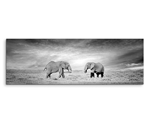 Sinus Art Wandbild 150x50cm Naturfotografie - Zwei Elefanten in der Wildnis, Kenia, Afrika auf Leinwand für Wohnzimmer, Büro, Schlafzimmer, Ferienwohnung u.v.m. Gestochen scharf in Top Qualität