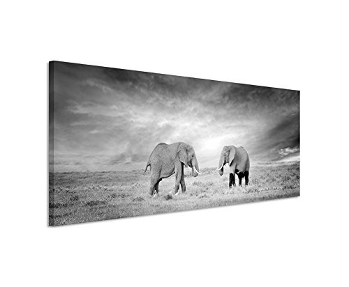Sinus Art Wandbild 150x50cm Naturfotografie - Zwei Elefanten in der Wildnis, Kenia, Afrika auf Leinwand für Wohnzimmer, Büro, Schlafzimmer, Ferienwohnung u.v.m. Gestochen scharf in Top Qualität