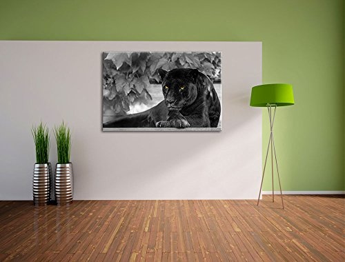 schöner schwarzer Panther schwarz/weiß auf Leinwand, XXL riesige Bilder fertig gerahmt mit Keilrahmen, Kunstdruck auf Wandbild mit Rahmen, günstiger als Gemälde oder Ölbild, kein Poster oder Plakat
