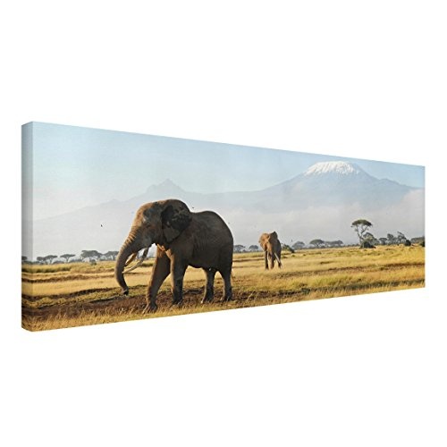 Bilderwelten Afrika Leinwandbild Elefanten vor dem Kilimanjaro in Kenya - Panorama 40 x 120cm