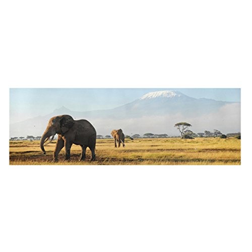 Bilderwelten Afrika Leinwandbild Elefanten vor dem Kilimanjaro in Kenya - Panorama 40 x 120cm