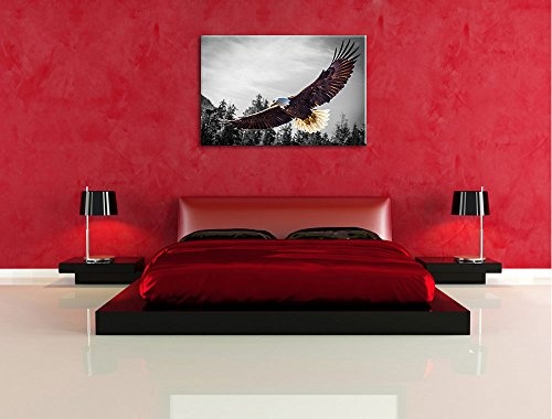 großer fliegender Adler schwarz/weiß Format: 120x80 auf Leinwand, XXL riesige Bilder fertig gerahmt mit Keilrahmen, Kunstdruck auf Wandbild mit Rahmen, günstiger als Gemälde oder Ölbild, kein Poster oder Plakat