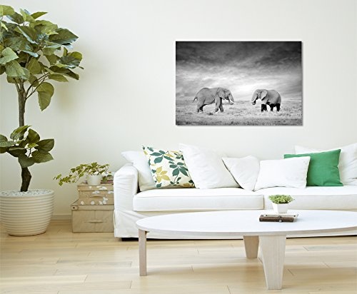 Paul Sinus Art Kunstfoto auf Leinwand 60x40cm Naturfotografie - Zwei Elefanten in der Wildnis, Kenia, Afrika auf Leinwand Exklusives Wandbild Moderne Fotografie für Ihre Wand in Vielen Größen