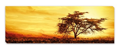PICSonPAPER Leinwandbild Panorama Afrika Baum, 90 cm x 30...