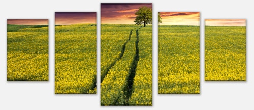 Leinwandbild Mehrteiler Landschaft mit einem Feld von gelben Blumen