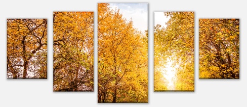 Leinwandbild Mehrteiler Herbstlandschaft in warmen Farben