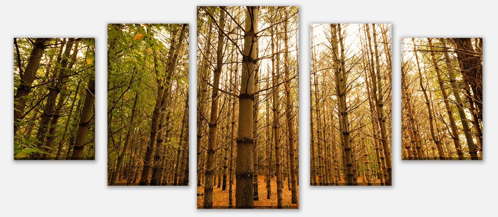 Leinwandbild Mehrteiler Bunte Herbstlandschaft