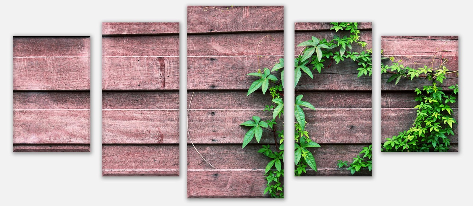 Leinwandbild Mehrteiler Wand mit Kletterpflanze