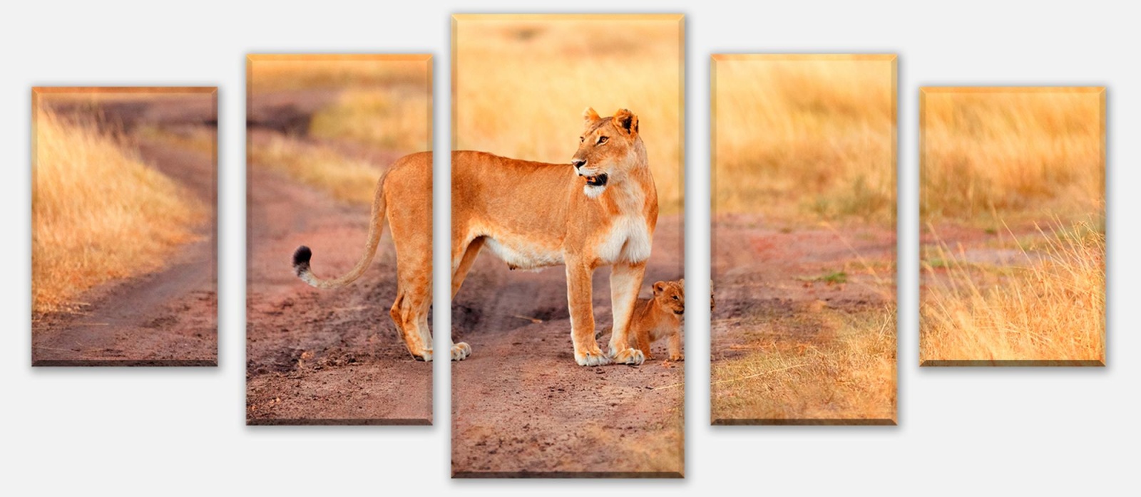 Leinwandbild Mehrteiler Löwe mit einem Jungen, Kenia