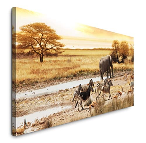 Paul Sinus Art GmbH Landschaft Afrika 120x 50cm Panorama...