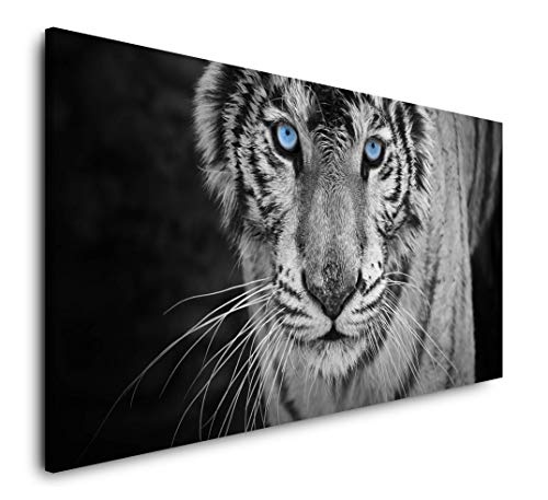 Paul Sinus Art Weißer Tiger 120x 60cm Panorama Leinwand Bild XXL Format Wandbilder Wohnzimmer Wohnung Deko Kunstdrucke