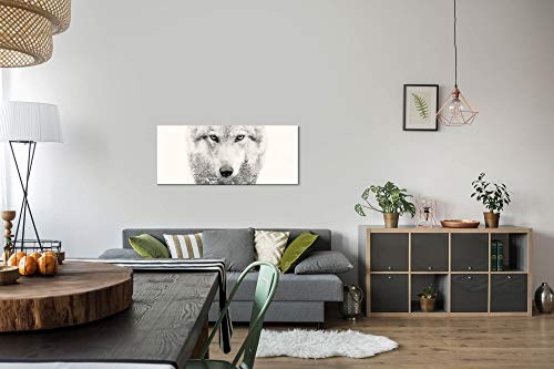Paul Sinus Art GmbH Wolf Portrait 120x 50cm Panorama Leinwand Bild XXL Format Wandbilder Wohnzimmer Wohnung Deko Kunstdrucke
