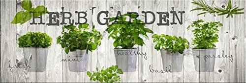 artissimo, Dekopanel, Deco Panel, ca. 90x30cm, PE5820-PA, Küche: Herb Garden, Bild, Wandbild, Wanddeko, Wanddekoration, Poster auf Decopanel