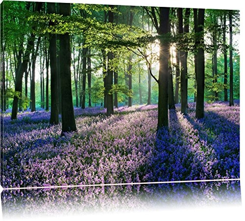 TOPSELLER Wandbilder (Lavendel im Wald 120x80cm) Ruhe...