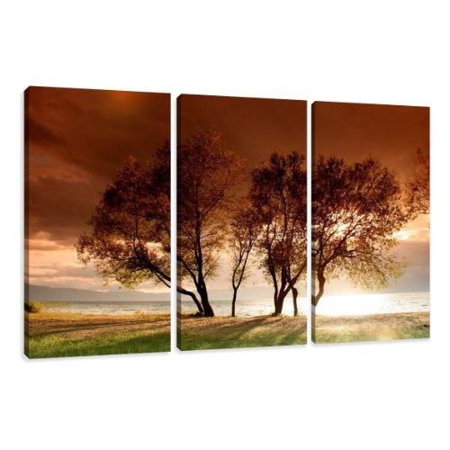 Visario Leinwandbilder 1025 Bild auf Leinwand Natur, 160 x 90 cm, 3 Teile