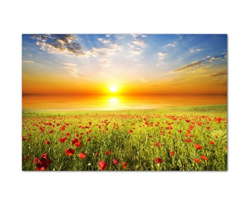 120x80cm - Fotodruck auf Leinwand und Rahmen Feld Gras Mohnblumen Himmel Sonne - Leinwandbild auf Keilrahmen modern stilvoll - Bilder und Dekoration