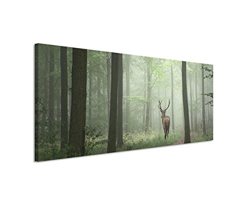 Sinus Art XXL Panoramabild 150x50cm Landschaftsfotografie - Hirsch im Nebelwald